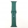 Ремеш Apple Watch Blue Green 42/44mm