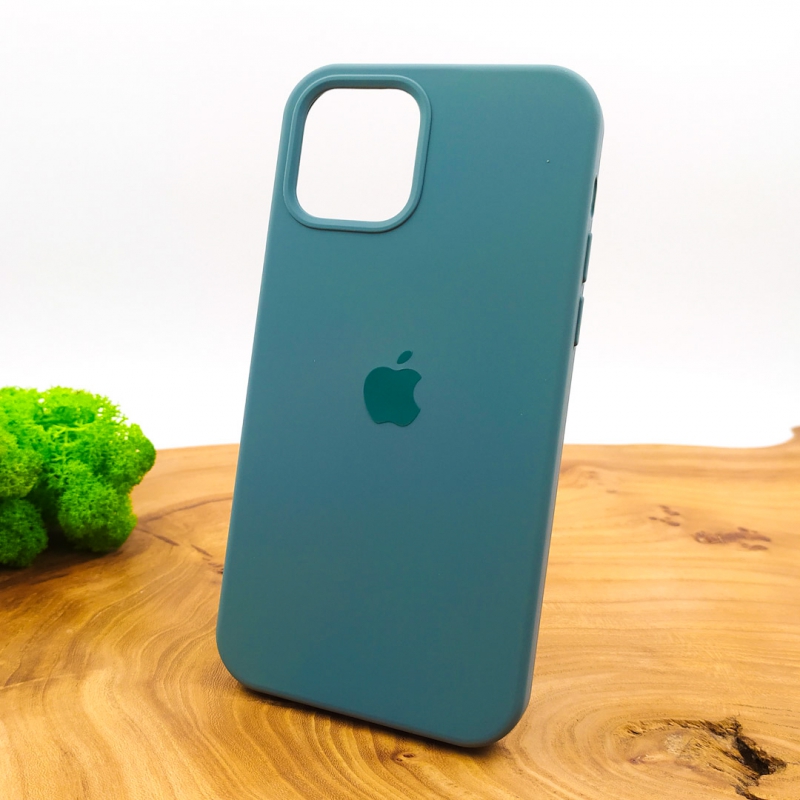 NEW SILICONE CASE IPHONE 12(6.7) Pine Green